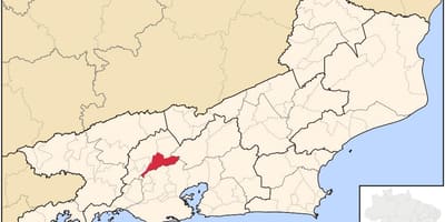 Carte Miguel Pereira