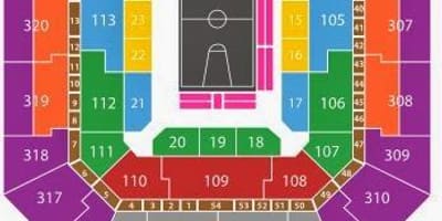 Carte Rio Arena